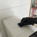 (주)정진약품 네이버블로그
