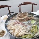 낙지박사 이미지