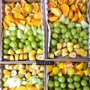 남악초등학교 이미지