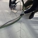 풍림빌라 | [인천 검암풍림아이원] 찍히고 긁힌 강마루 보수후기