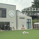 레인바우 안중점 | 평택 애견 카페｜넓은 잔디가 있는 평택 안중읍 ‘레인바우’ 내돈내산