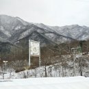 스테이치목 이미지