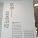 한남대학교 사회문화대학원 | 조용한 게르니카! 8월 대구전시회 대구미술관 다티스트 심윤:회색극장 전시 후기