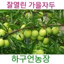 바이오농장 이미지