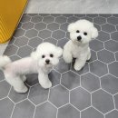 뚜뚜네 미용실 이미지