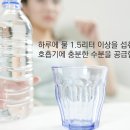 봄철 알레르기성 호흡기 질환 예방법 이미지