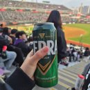 야구장 | 💬1박2일로 떠나는 경기도 수원/야구장/행궁동 첫 경험⚾️솔직후기