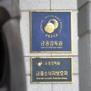 금융감독원 이미지