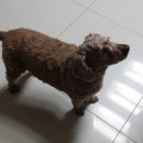 파리바게트 옆 이미지