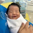 수여성병원 | 창원모란여성병원 출산후기 - 응급제왕절개, 창원출산병원, 출산후기, 식사후기