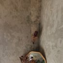 크로마이트커피
