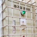 의정부청룡초등학교 이미지