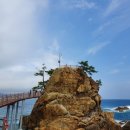 (주)파랑새여행사 이미지