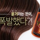 삼.삼헤어