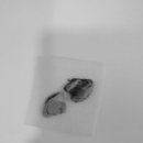 문정탑동물병원 이미지