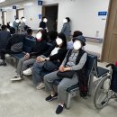 재발성각막상피미란 치료후기 (2) 보호렌즈, 재발, 대학병원 진료
