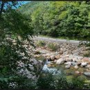 지리산자연애펜션 이미지