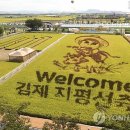 홀로그램 판타지쇼 이미지