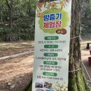 노루벌적십자생태원 | 대전 밤줍기 체험 아이와 가볼만한 곳 노루벌적십자생태원