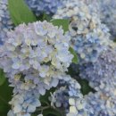 안덕면행정복지센터 이미지