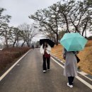 솔리(구 서일농원) | 서일농원 청국장이 맛있는데도 '카페'가 비어있던 이유 (예비 사장의 날카로운 분석)”