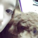 마크로24시 동물병원 이미지