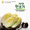 괴산시골절임배추영농조합법인 이미지