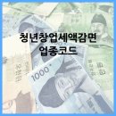 325012 | 청년창업세액감면 업종코드