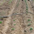 견우농장 이미지