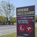 송상현 광장 동상 맞은편 | 아이랑 가기 좋은 경남 함양 상림공원 반려견은 맞은편 고운광장 이용가능