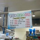 나룻배식당 | 강원도 속초 '청호활어회센터 나룻배 12호' 횟집 방문 후기 (식당 이용)