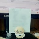8월 5주