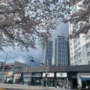 수선화메디칼