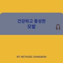 더블유티(WT)메소드 이미지