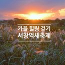 영산강서창들녘억새길 | 광주가볼만한곳 서창억새축제 가수 공연정보, 셔틀버스, 주차장 여행