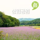 상림6 작은도서관 | 경남 함양 주말 나들이 여행지 가볼만한곳 추천 상림공원 개화상황
