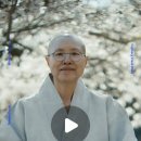 bts계정피드에 선재스님 이야기가 실렸어요👍👍👍 이미지
