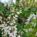 신유한의원 이미지