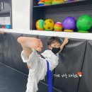 THE바른태권도장 이미지