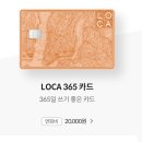 할인 받을 수 있는 신용 카드 직접 찾은 후기 : 신한 하이포인트 , 롯데 로카 365 , 신한 카드 관리비...