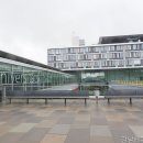 강남레쥬베의원 네이버블로그
