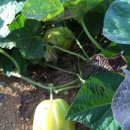 주빈농장 이미지