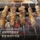 금화식당앤꼬치 | 운정 양꼬치 맛집 산내마을 양꼬치앤칭따오 아이랑 단골 방문 후기