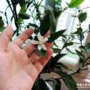 일남농장 이미지