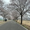 용연사길 이미지