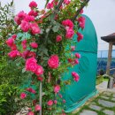 자연속에 둥지펜션 이미지