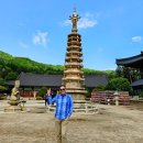 평창 월정사 팔각구층석탑 | 평창 오대산 월정사 전나무숲길 주차장 입장료 팔각구층석탑