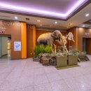 서대문자연사박물관 이미지