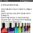 다힐링 | 명상과 힐링을 위한 작은 박람회 후기..