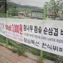 79소 이미지